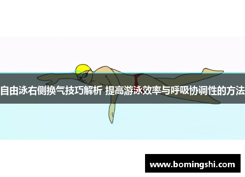 自由泳右侧换气技巧解析 提高游泳效率与呼吸协调性的方法